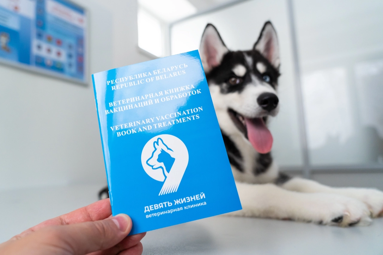 фотограф для животных