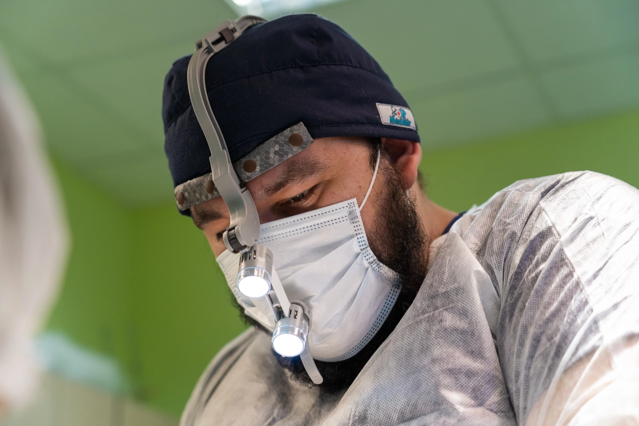 фотограф для животных