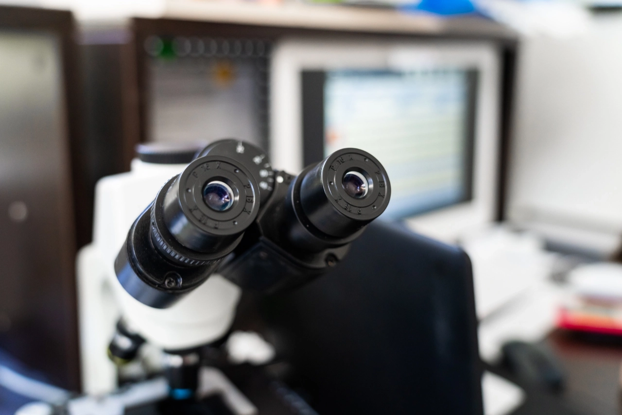 фотограф для животных