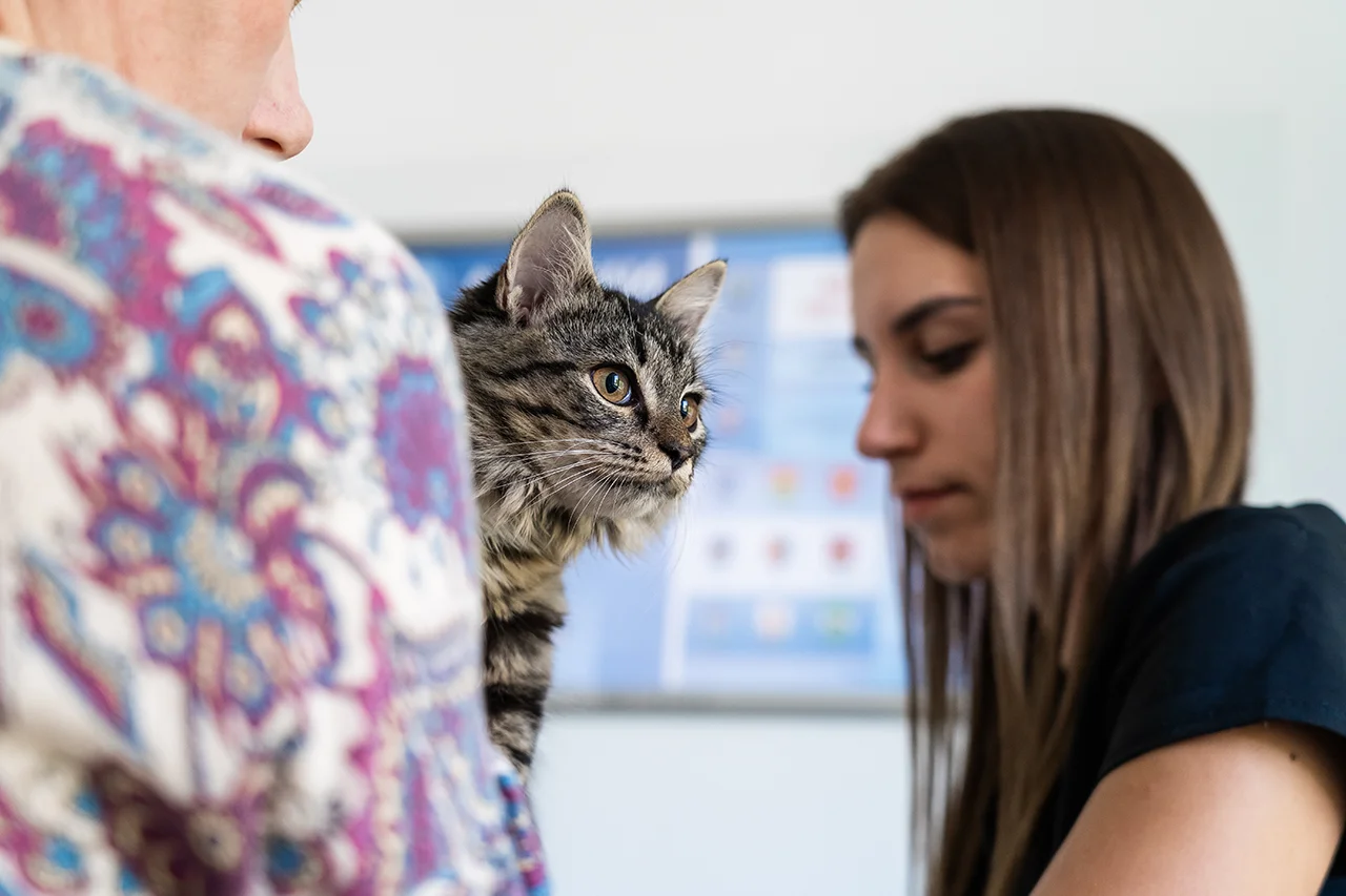 офтальмолог Анастасия Селюк