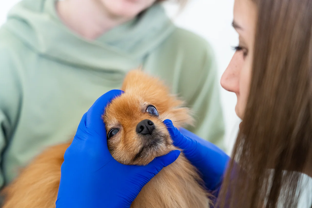 офтальмолог Анастасия Селюк