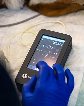 Полное обследование собаки в ветклинике «9 Жизней» Минск