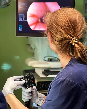 Эндоскопия в ветклинике «9 Жизней» Минск