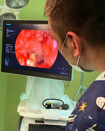 Эндоскопия в ветклинике «9 Жизней» Минск