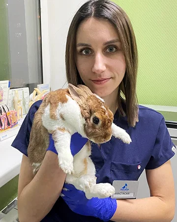 Ветеринар для кроликов в ветклинике «9 Жизней» Минск