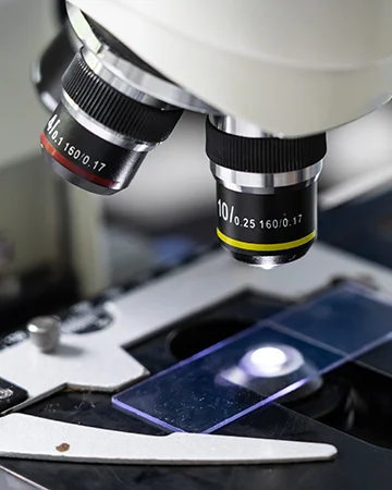 Анализы в ветклинике «9 Жизней» Минск