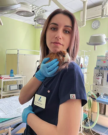 Ратолог в ветклинике «9 Жизней» Минск