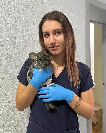 Ветеринар для шиншилл в ветклинике «9 Жизней» Минск