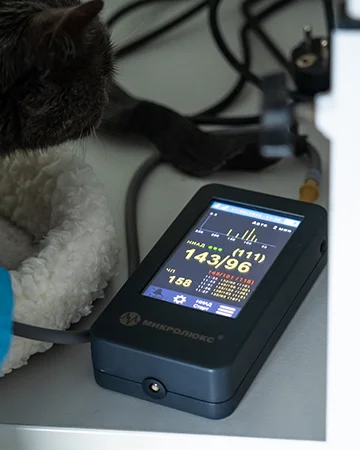 Стационар для животных в ветклинике «9 Жизней» Минск