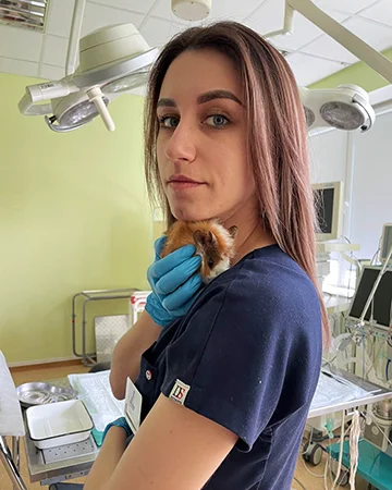 Ветеринар для морских свинок в ветклинике «9 Жизней» Минск