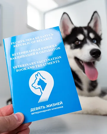Вакцинация в ветклинике «9 Жизней» Минск