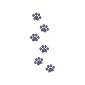 Болезни переносятся разными животными