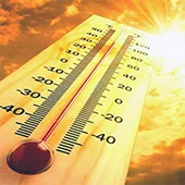 Жара опасна для шиншиллы