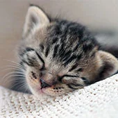 температура и вялость после прививки