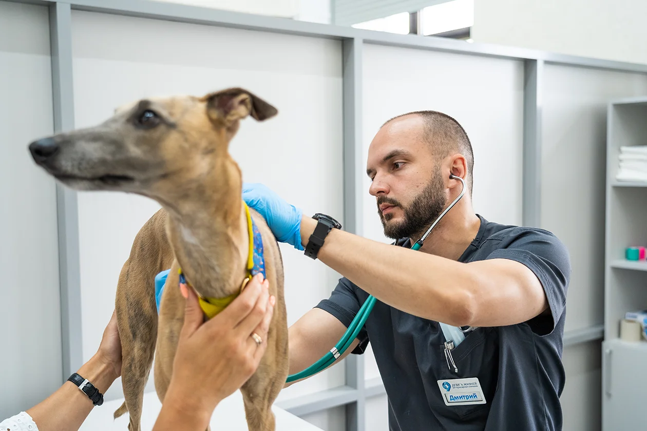 эндоскопист Дмитрий Бадулин