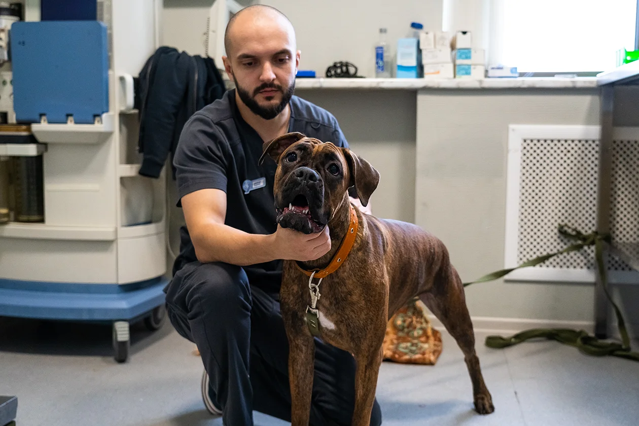 эндоскопист Дмитрий Бадулин