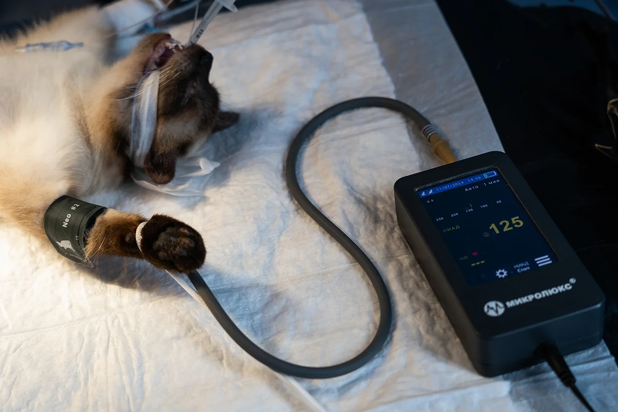 дерматолог Руслан Кочкин