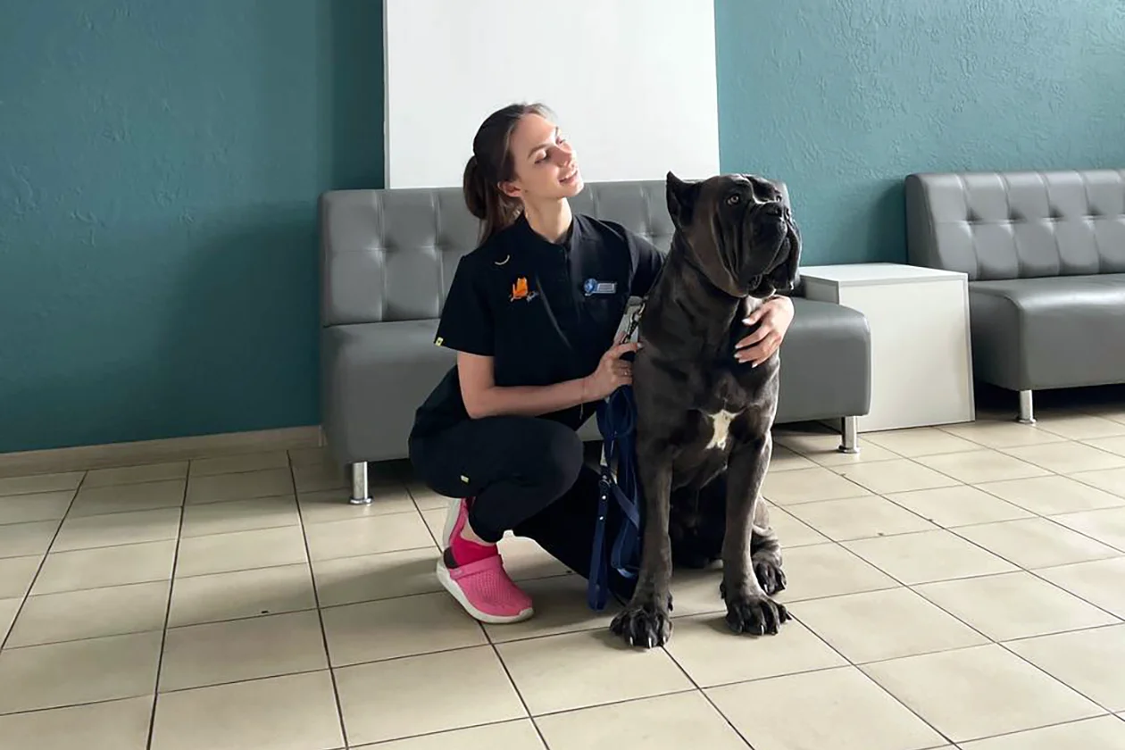 ветеринарный диетолог