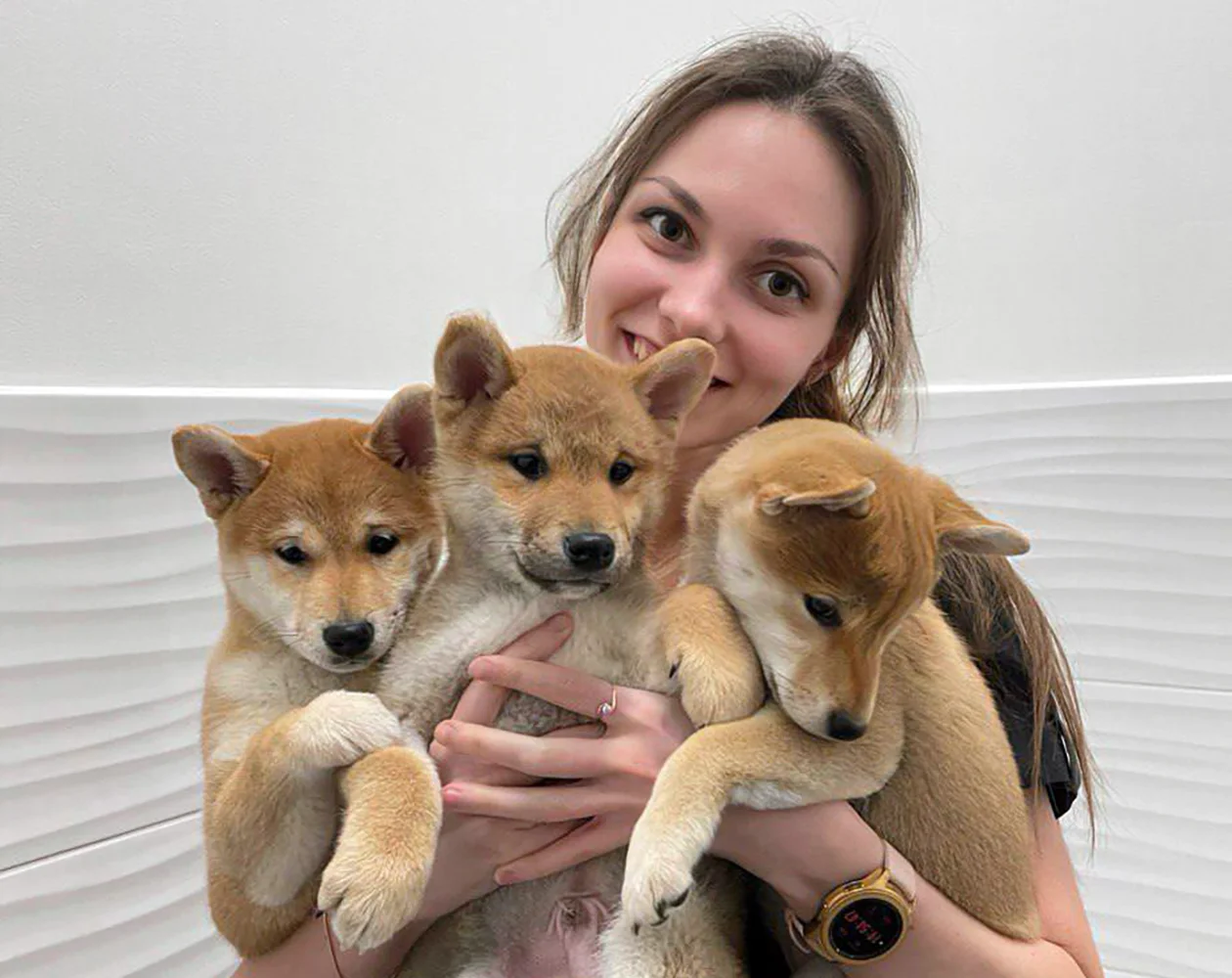 ветеринарный диетолог