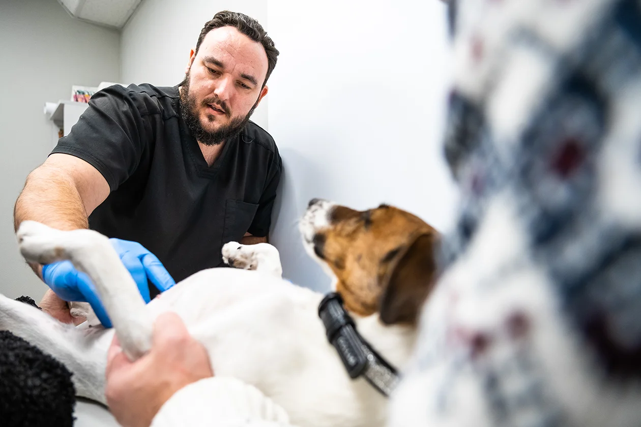 онколог Владислав Вензелев