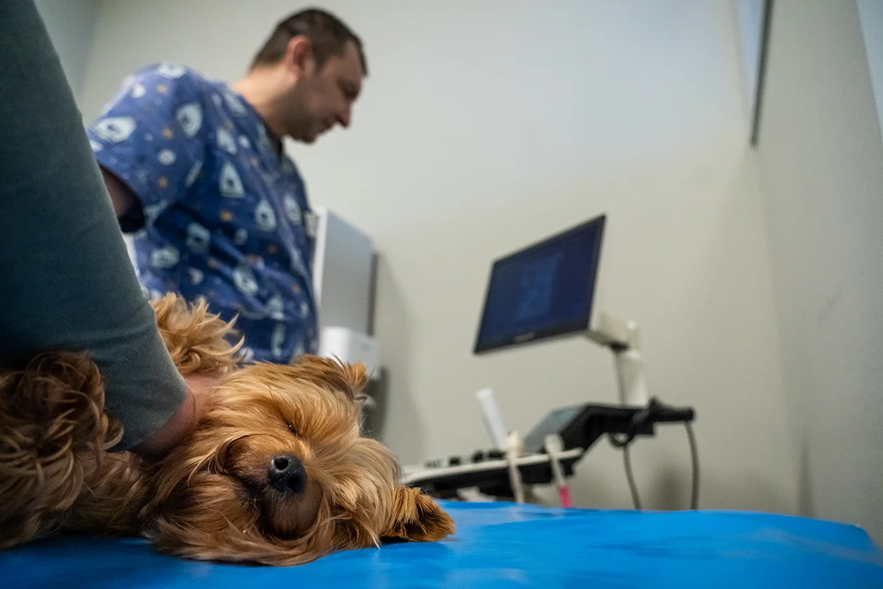 онколог Владислав Вензелев