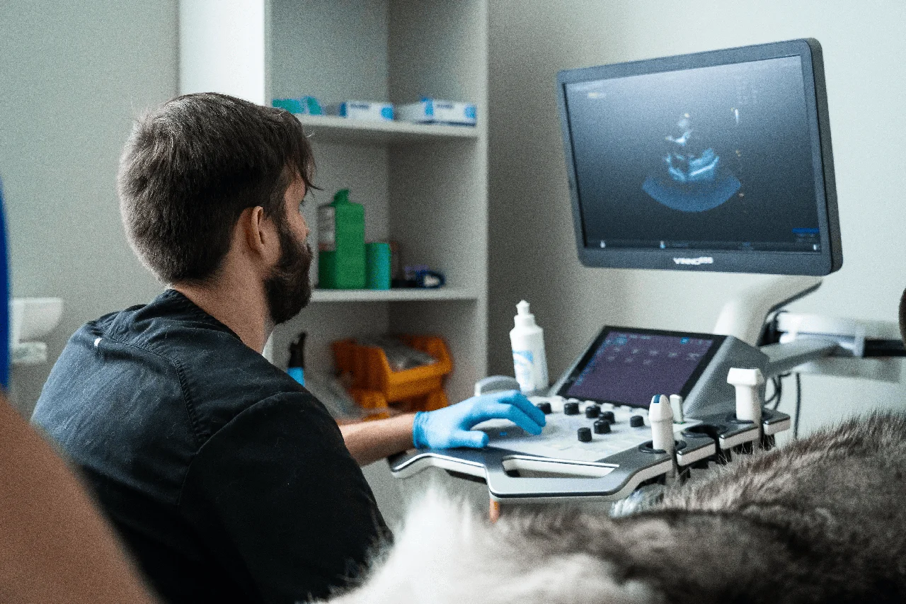 кардиолог Роман Чертопалов