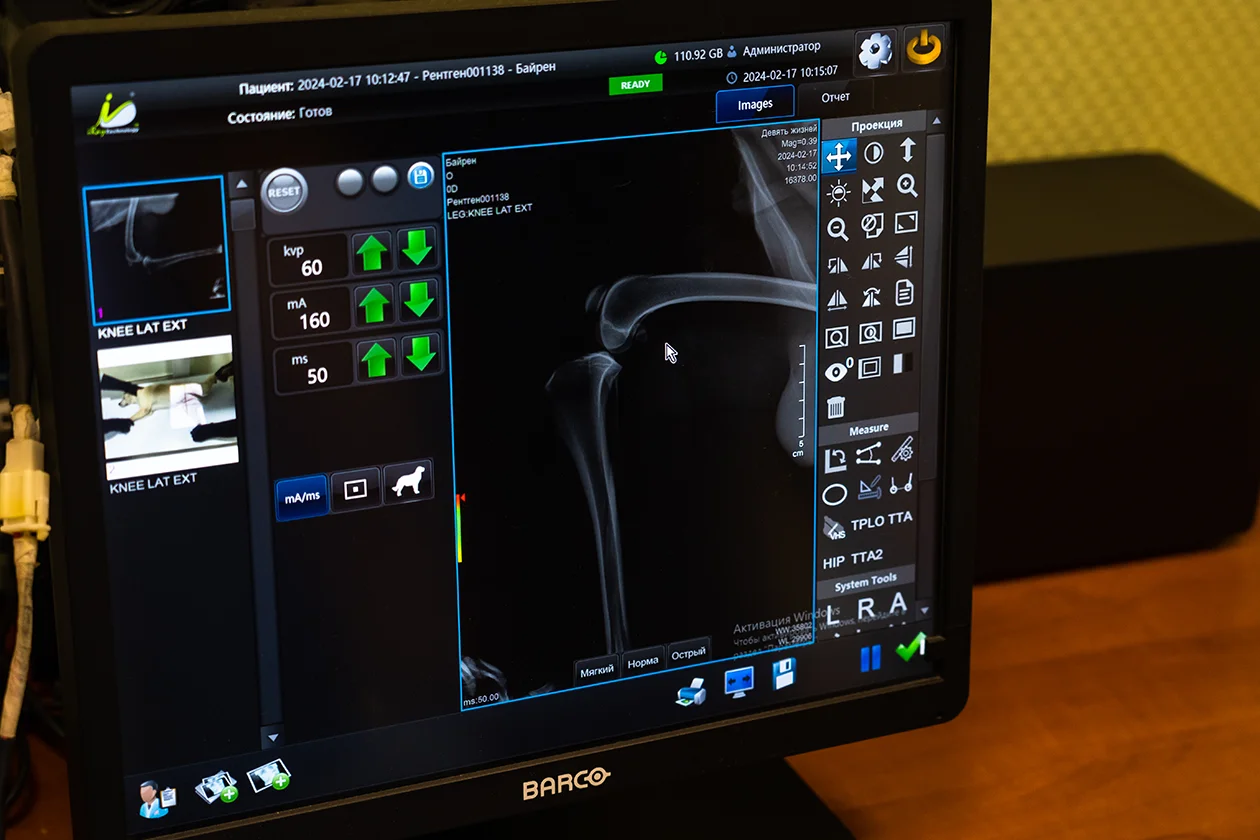 рентген в ветеринарии
