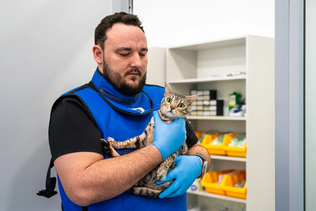 рентген в ветеринарии